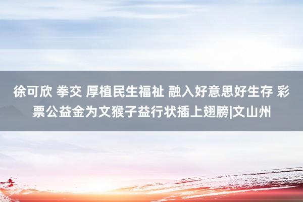 徐可欣 拳交 厚植民生福祉 融入好意思好生存 彩票公益金为文猴子益行状插上翅膀|文山州