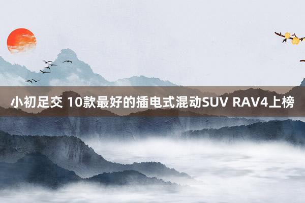 小初足交 10款最好的插电式混动SUV RAV4上榜