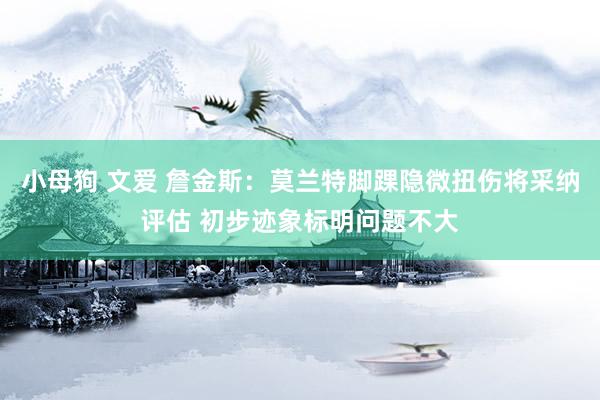 小母狗 文爱 詹金斯：莫兰特脚踝隐微扭伤将采纳评估 初步迹象标明问题不大